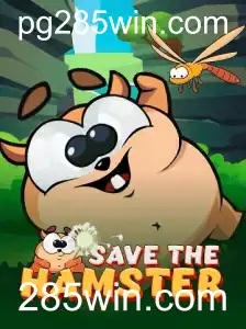 SavetheHamster: Um Jogo Envolvente de Estratégia e Aventura